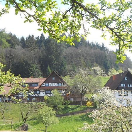 Ferienhof Fischer Seebach Kültér fotó