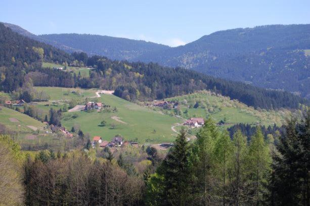Ferienhof Fischer Seebach Kültér fotó
