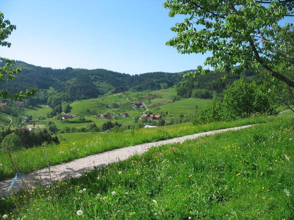 Ferienhof Fischer Seebach Kültér fotó